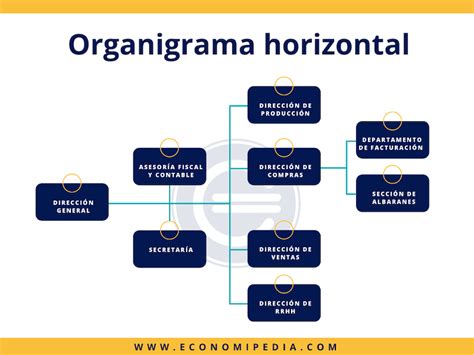 organigrama horizontal-4